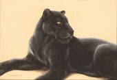 Черный ягуар - II, 2002 г, Марина Ефремова, Картины с животными, Московский зоопарк