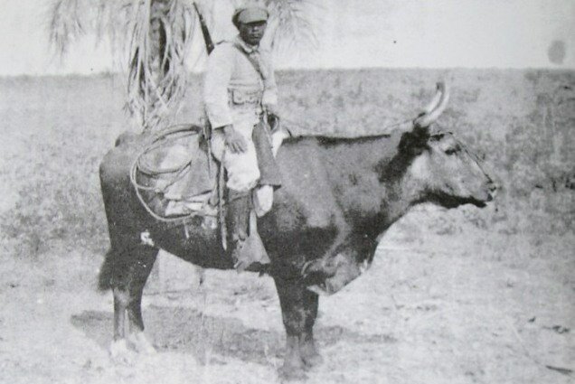 Боливийский кавалерист