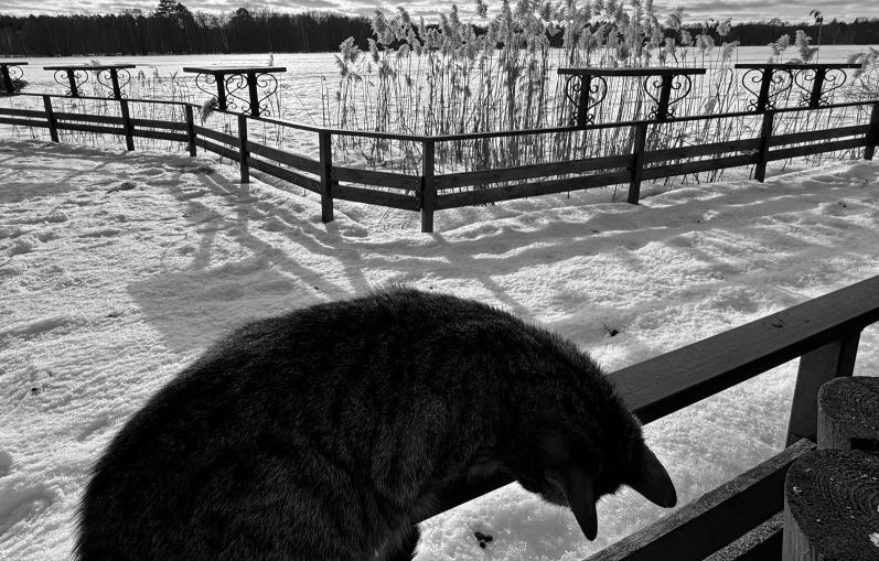 �������� ������� _ ���