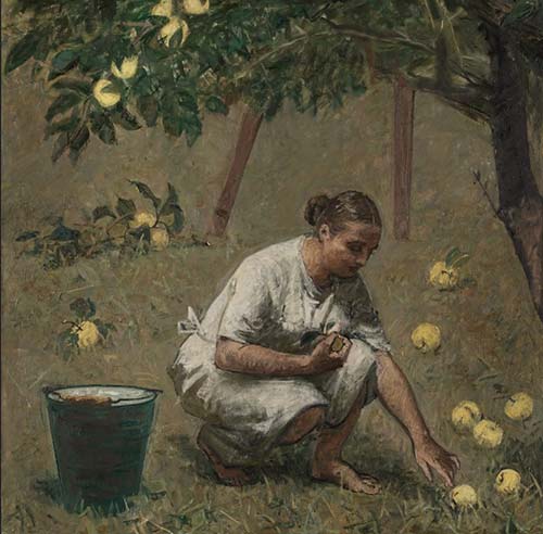 ���� ����� ���� �����