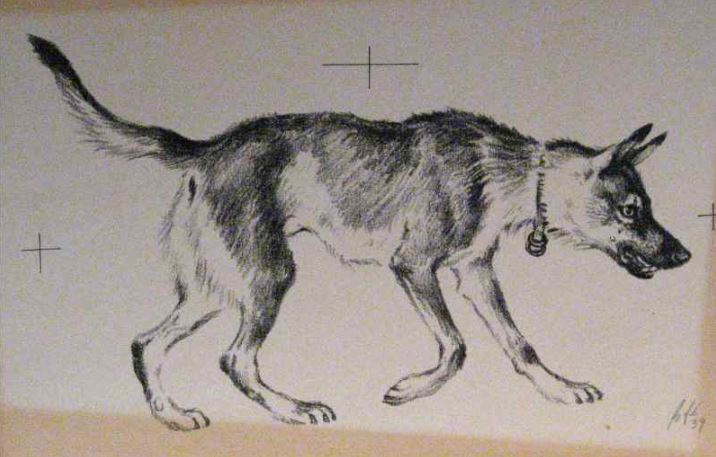 Лебедев В.В. Овчарка, 1939 Лебедев В.В. Овчарка, 1939