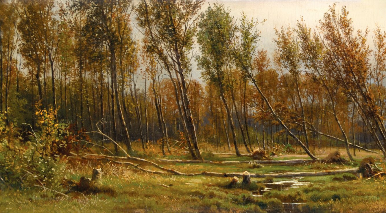 Иван Шишкин - Березы после бури, 1871 ГМИИ РТ